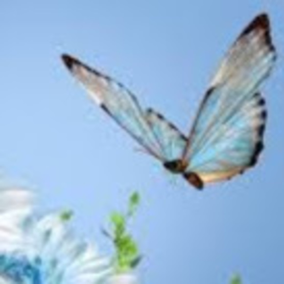 Meet your Posher, Opal - Picture 1 of 1